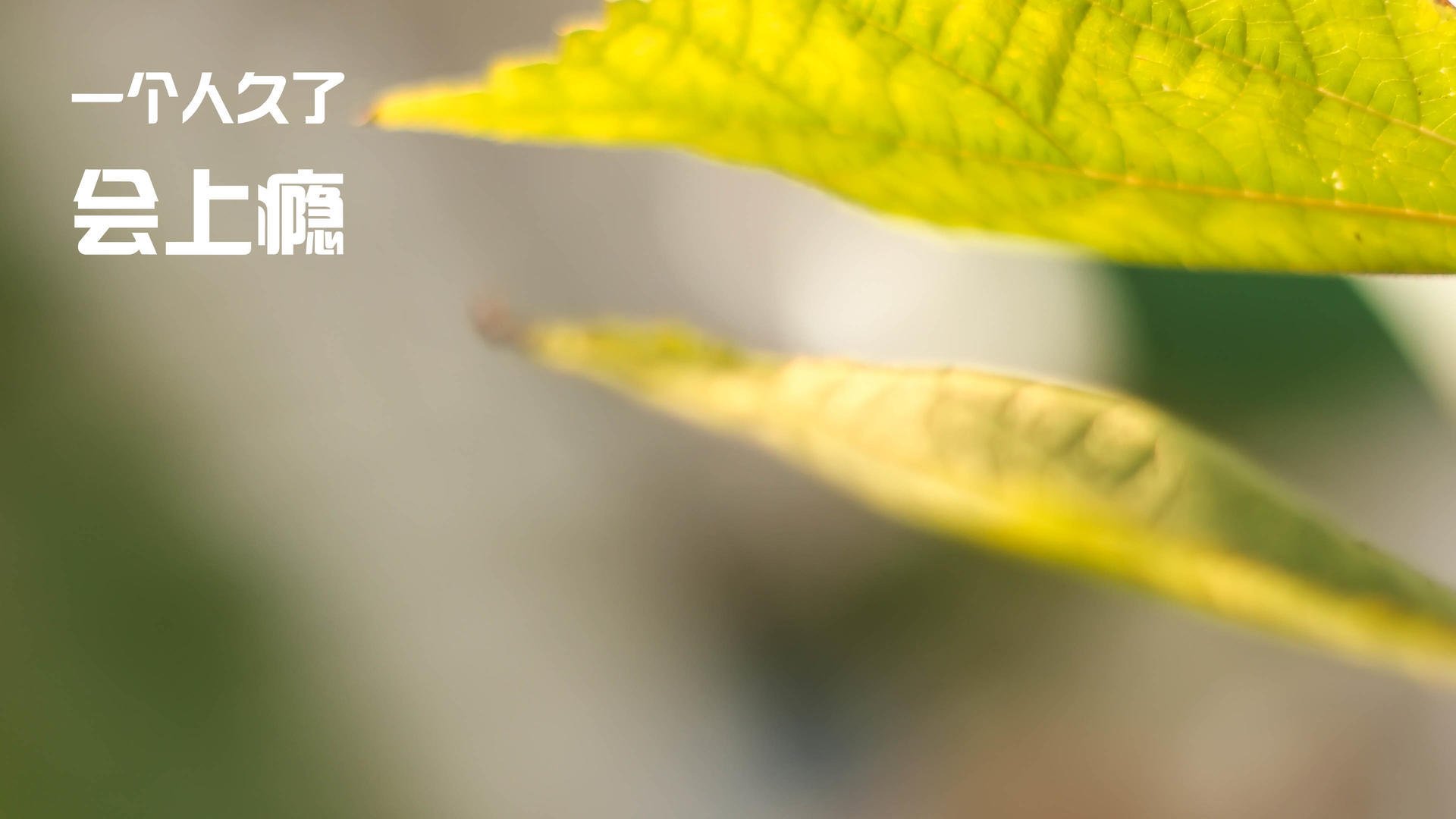 国家体育总局表彰年度优秀青少年教练员,国家体育总局青少年体育司副司长