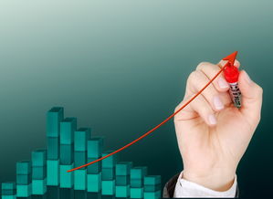 开云体育视频直播-运动项目职业路径设计与发展研究，运动职业化