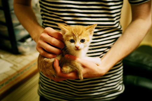 媒体曝光球员训练日常球迷点赞励志故事，鼓励球员的句子