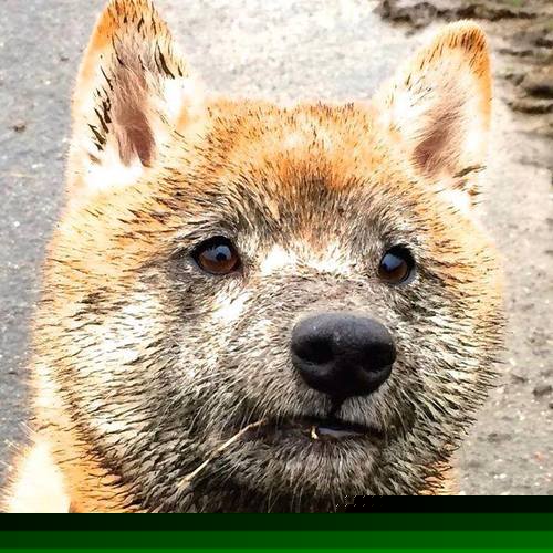 观众现场体验加入沉浸式AI讲解服务，沉浸式体验演出